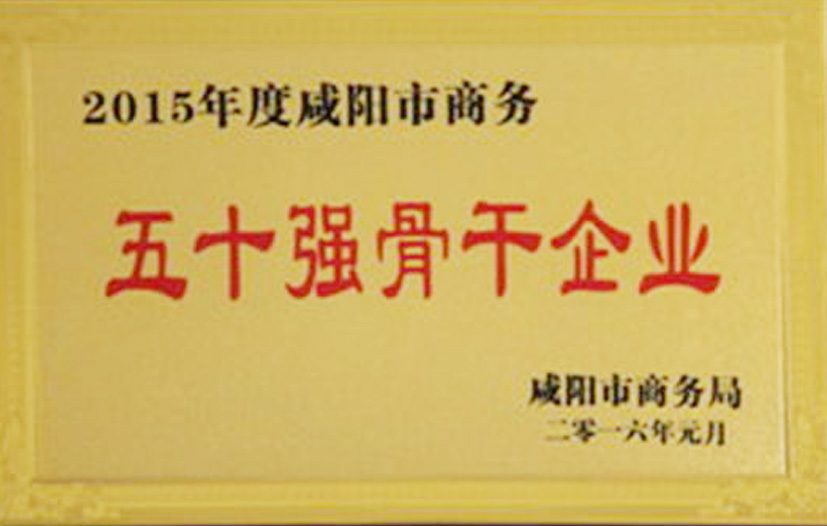 五十强骨干企业