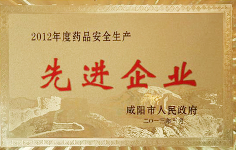 药品安全生产先进企业