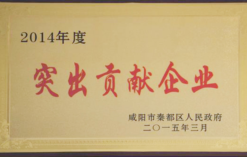 突出贡献企业