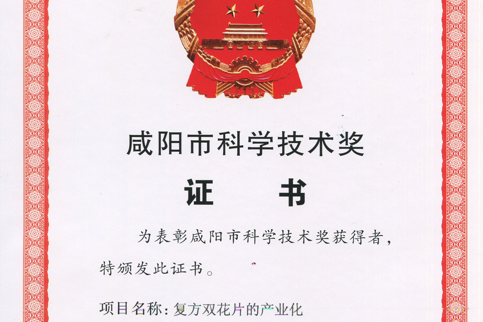 咸阳科技技术奖