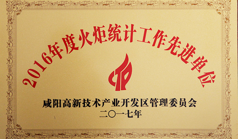 火炬统计工作先进单位
