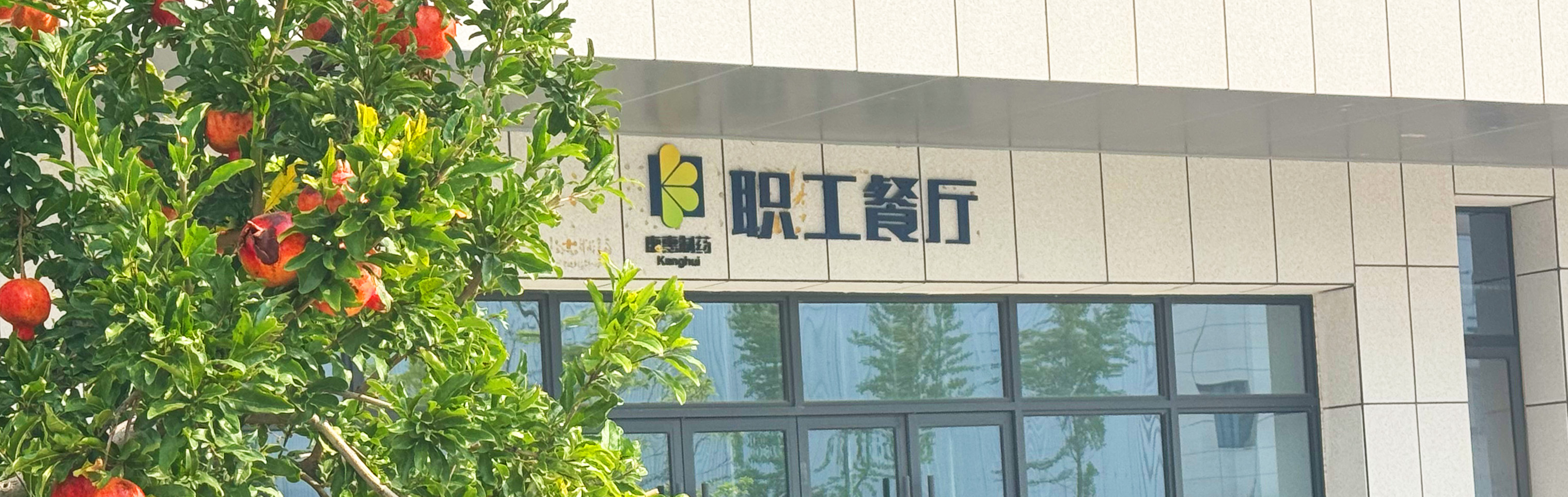 工作环境
